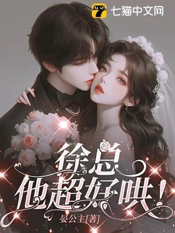 徐总是什么意思