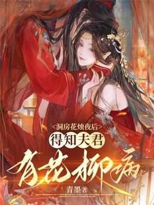 洞房花烛夜后得知夫君有花柳病抄袭哪部