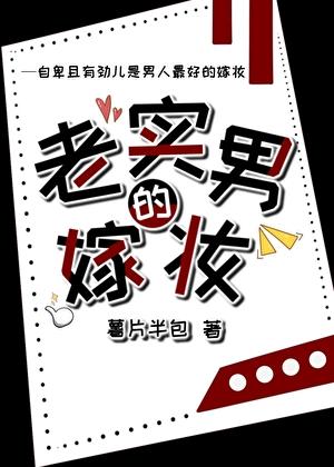 老实男的嫁妆晋江