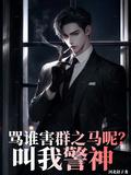 叫我警神有声