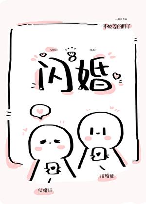 闪婚冰山美女总裁