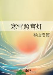 寒灯照雨声上一句