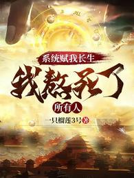 系统赋予的领域