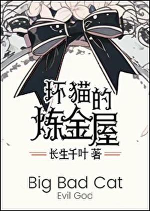 坏坏猫探索