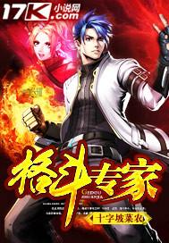 格斗专家在线观看