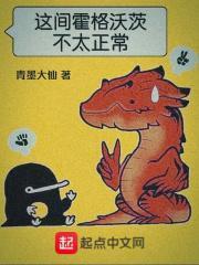 霍格沃茨的不正常攻略起点