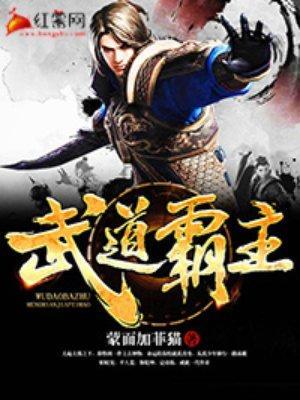 武道霸主罗峰第二部