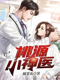 桃源小神医叶不朽