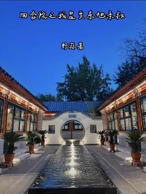 情深四合院之我是贾爸