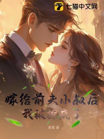 嫁给前夫小妾全文
