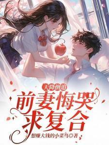 天降小妻免费阅读