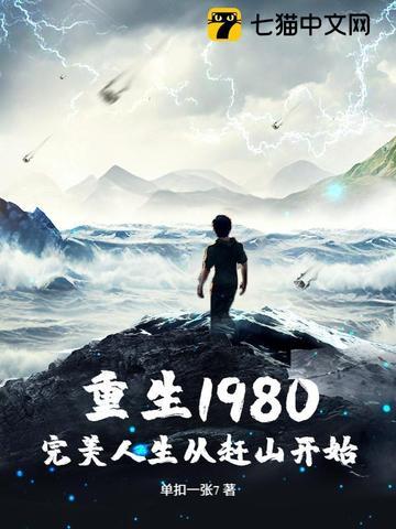 重生之完美的80年代