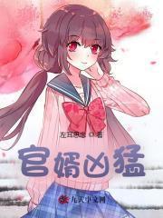 政界狂枭赘婿的青云直上