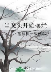 当魔头是很辛苦的 by濑玖