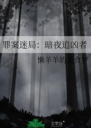 暗夜追凶在线阅读
