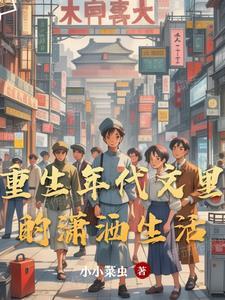 重生年代文里的潇洒生活作者小小菜虫