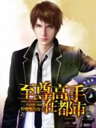 至尊高手在都市TXT
