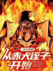 海军大将赤犬第一次出场