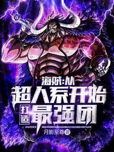 海贼从超人系开始打造最强团在线