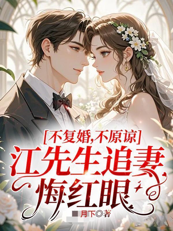 江先生情深不渝全文免费