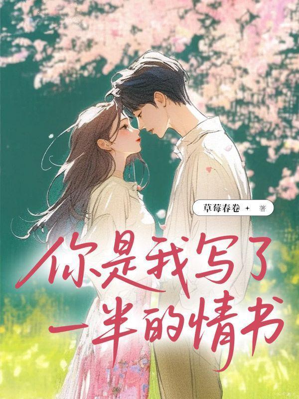 你是我写了一半的情书在线阅读