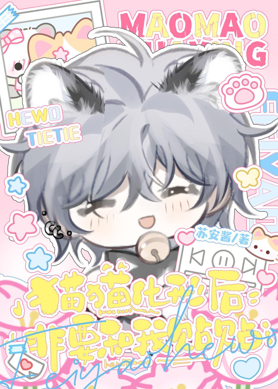 猫咪饲养日常攻略家人