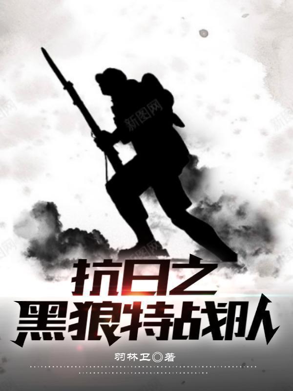 抗日之黑狼特战队电视剧免费观看