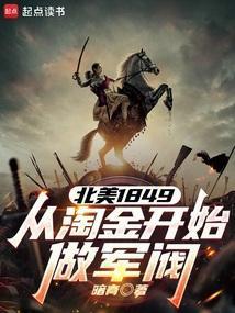 从淘金开始做军阀TXT