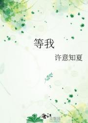 一个人尝尽了孤独的滋味歌词