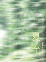 夏至未至在线观看