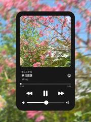 秋日遐想初中作文800字