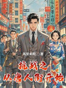 抗战之从唐人街开始的在线阅读全文