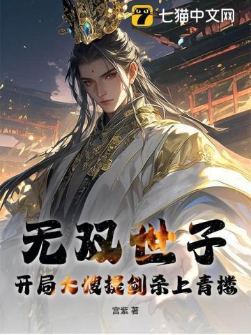 无双世子开局大嫂提剑杀上青楼