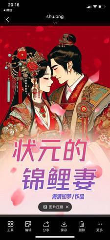 状元的锦衣卫前妻娇又飒