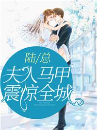 陆总夫人马甲震惊全城