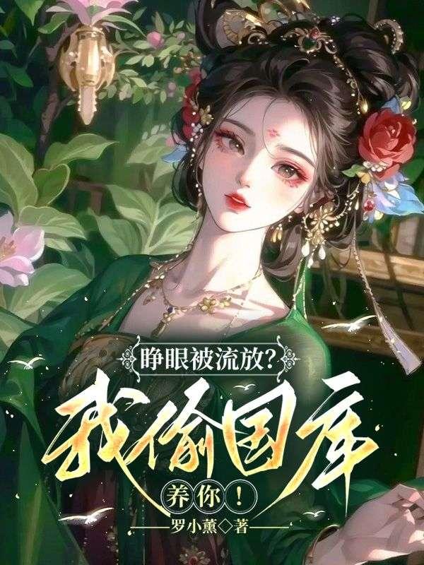 我偷国库养你视频