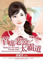 宝贝撩人首席老公正经点