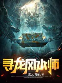 寻龙风水师在线阅读全文