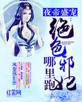 夜帝盛宠绝色邪妃哪里跑全文阅读