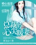 婚心荡漾总裁大人套路深全文免费阅读