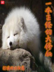 山村妖孽狂医作者连雨夜