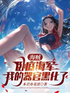 航海王海军卧底