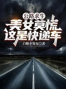 这是快递车无修版