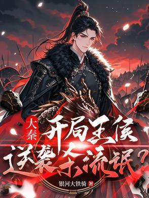 穿越大秦当王妃的电视剧