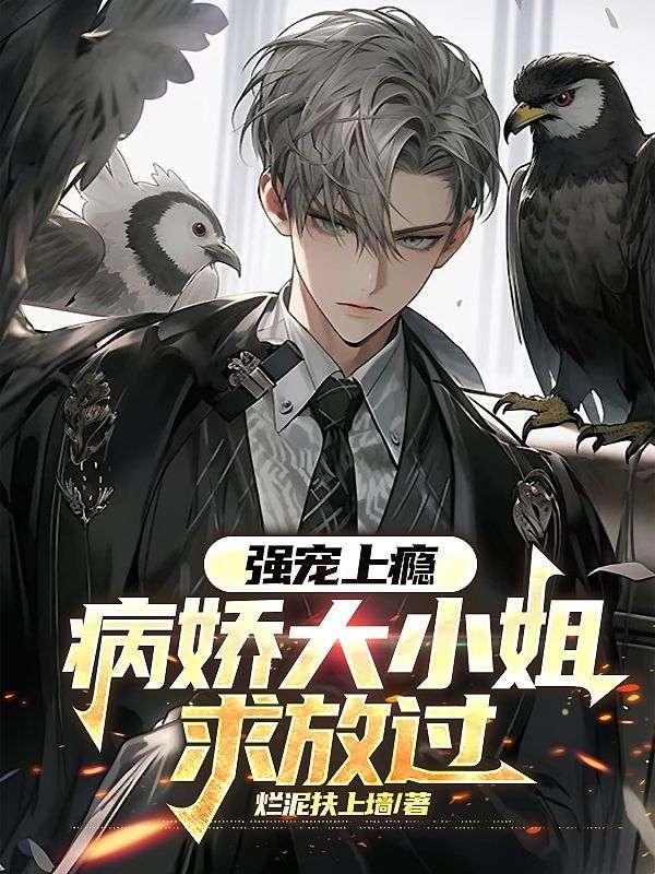 病娇大小姐副官