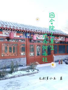 四合院重生成为何雨柱毛利