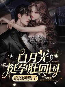 京圈沸腾了全文免费阅读