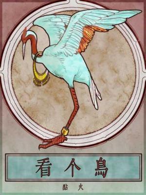 看个鸟原创视频