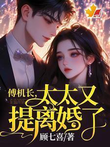 傅机长太太又提离婚了司瑶傅霆夜