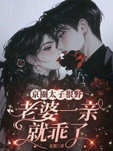 京圈太子妃什么意思